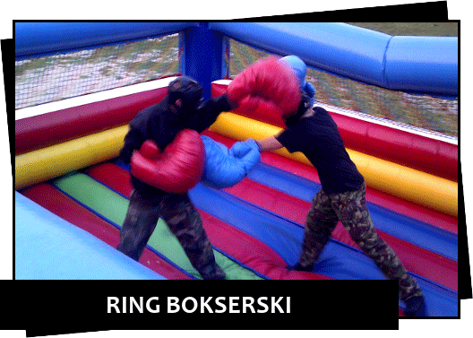 ring-bokserski